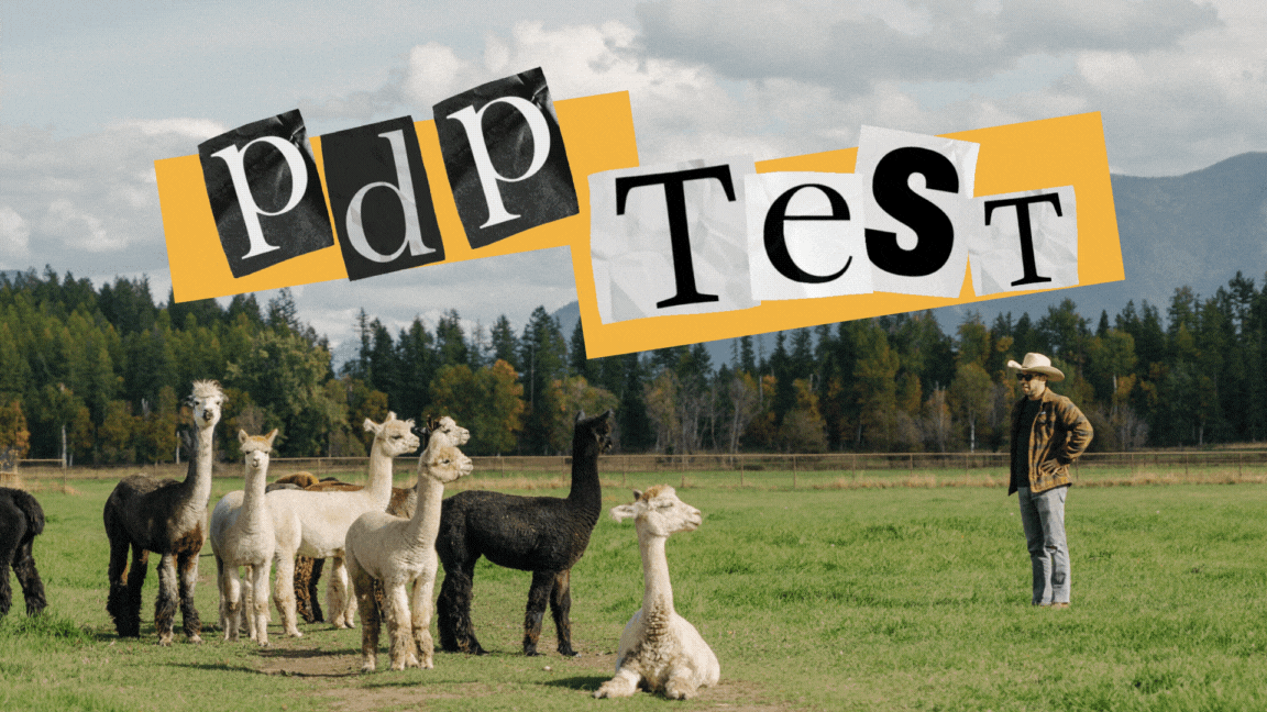 Photo of Scot with a group of alpacas on his farm with animated text that reads, 